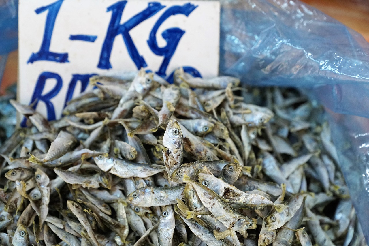 鳕鱼价格分析揭秘，市场售价多少一斤？